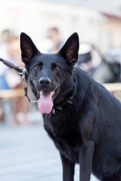 KUL(inarični) petki v Parku Evropa vabijo poletna druženja vse do konca avgusta (14)